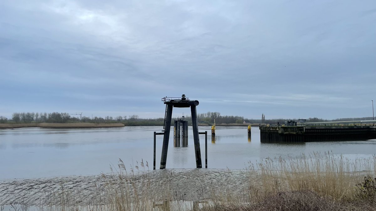 marleenvael's tweet photo. Temse 20 maart 06.55 u #vrtweer @BuienradarBE @frankdeboosere #mercifrank #pensioen https://t.co/gqdFCczwI3