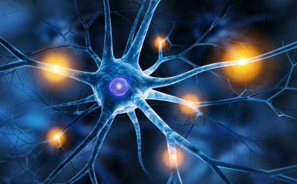 parolesdecoach's tweet photo. Le succès dépend en grande partie de vos #habitudes. La répétition de certaines actions renforce les connexions #neuronales associées à ces #comportements. Avec une pratique suffisante, ces habitudes deviennent automatiques et s'enracinent dans notre comportement inconscient. https://t.co/uqVs2cmU1O