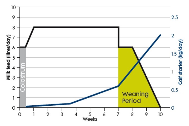 Trouw Nutrition GB tweet media