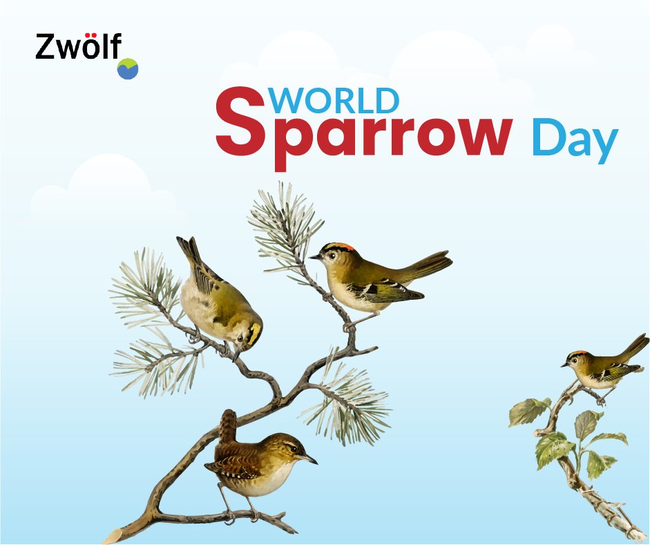 ZwolfApp's tweet photo. Today we are celebrating "World Sparrow Day". Let's save sparrows together and save nature by preserving this beautiful creature of nature.
@ZwolfApp
#sparrow #SparrowDay #wildlife #wildlifeonearth #WildlifeConservation #zwolfapp #socialmediaapp #businesslistingapp https://t.co/uelVxxt9tg