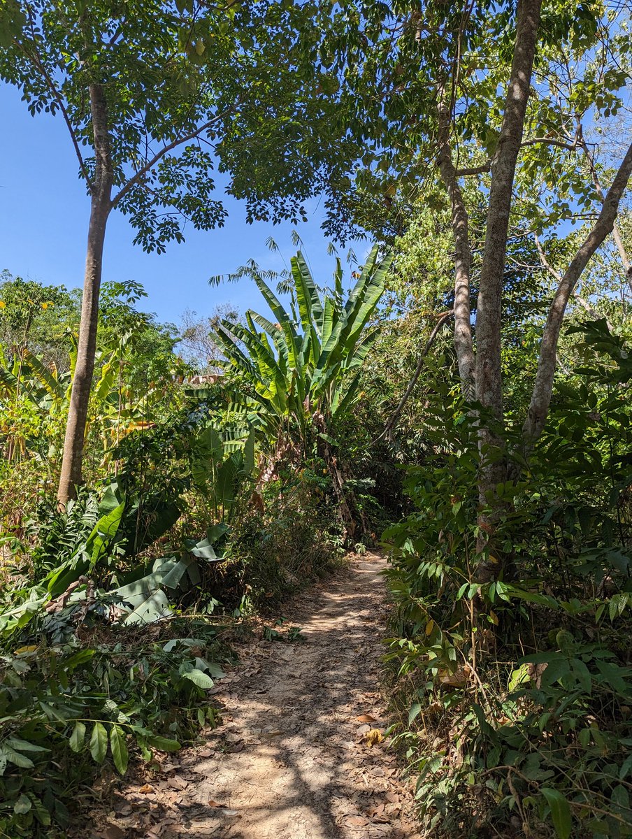 ZinvolReizen's tweet photo. Heerlijke wandeling.
Ik lette eerst niet op en liep een ander wat steiler pad op...na wat geklauter en goed kijken op https://t.co/h3DRwjBIrg bleek ik echt ernaast te zitten.
Oorspronkelijke wandeling was iets makkelijker. Gelukkig!
#viewpoint #kohmook #thailand https://t.co/6xNbwVnnVm
