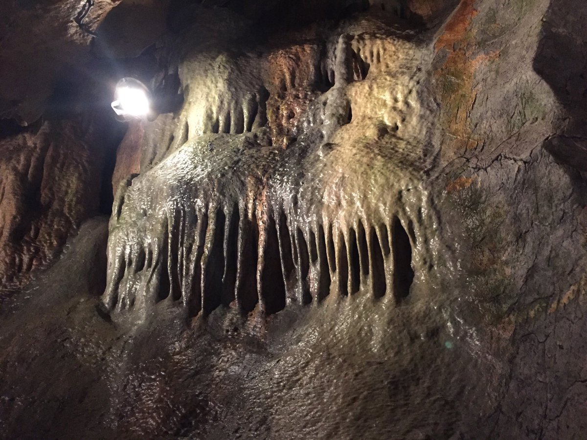 SabPenniello's tweet photo. Les grottes de Saulges sont ouvertes. Margot et Rochefort vous attendent. C’est sur le webzine @EnFranceAussi
#mayenne #slowlydays #DestinationMayenne
#EnFranceAussi
#EnFranceAussi10Ans
https://t.co/ubwR4q33cD https://t.co/JlNzXG9RMf