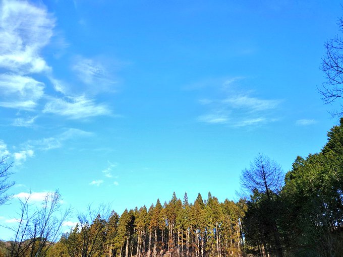 山！空！青！( 🤟 °꒳​°  )🤟ふぅー!!! 