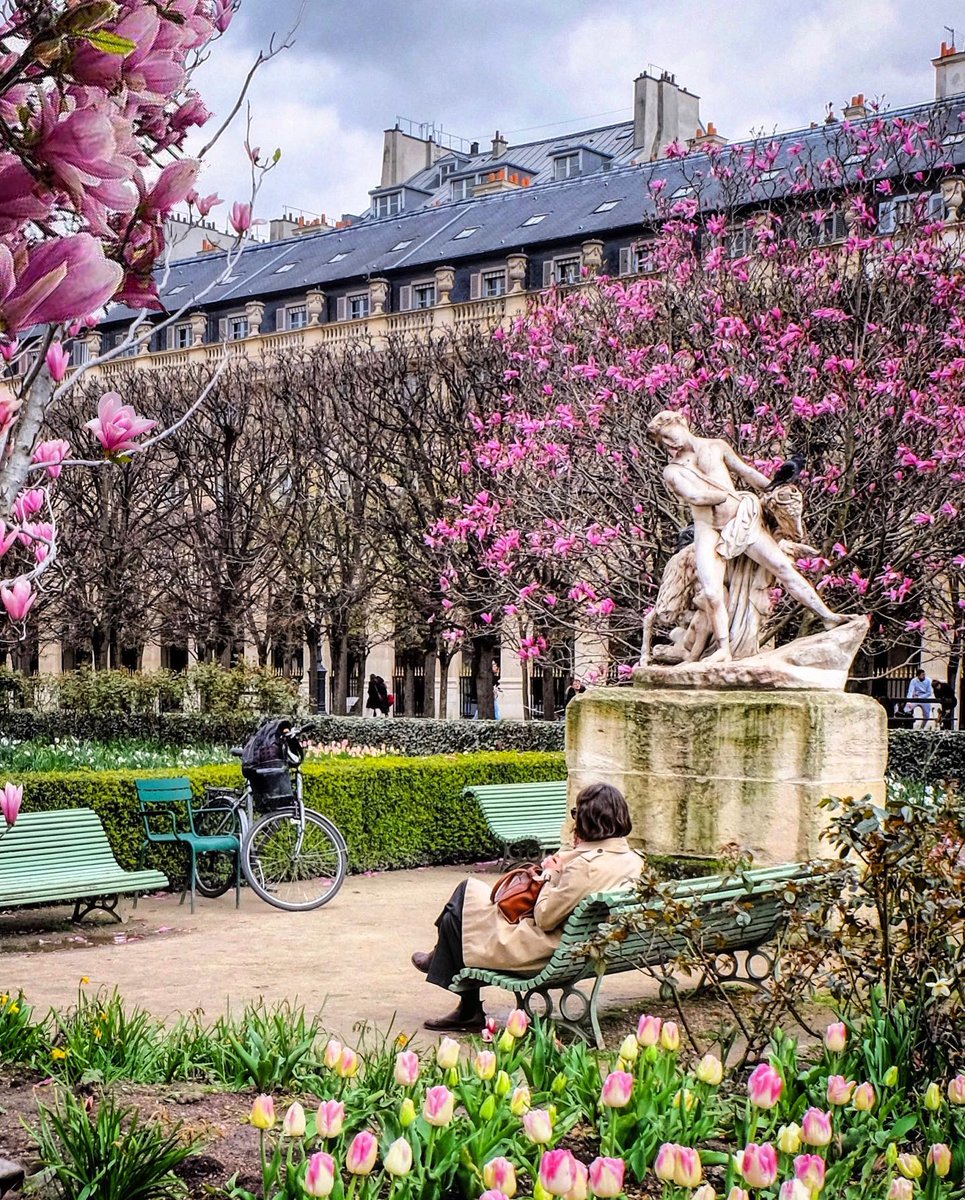 visitparisreg's tweet image. Blooming Paris 🌸
📸 @reginesemaan (IG)
#visitparisregion #explorefrance