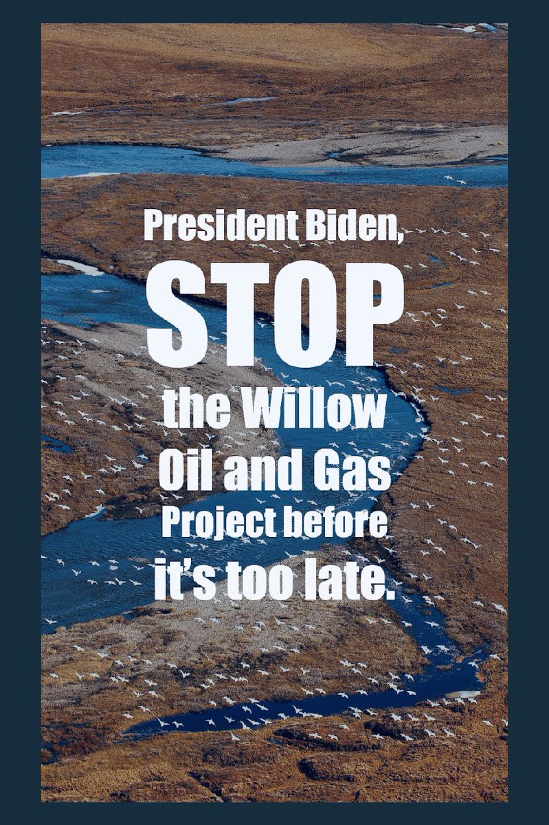 NenaaBlake's tweet image. #StopWillowProject 

protectthearctic.org/stop-willow?hs…