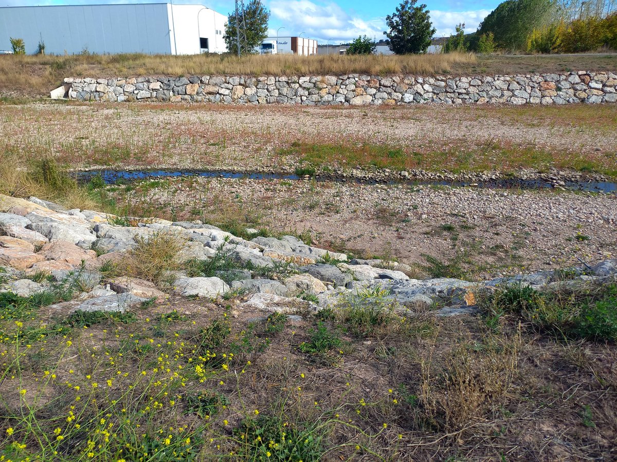 Los encauzamientos de los ríos suponen la eliminación del bosque de ribera, transformándolos en un canal. Producen un gran impacto ambiental y un riesgo para las personas. Debería ser algo del pasado pero no lo es, como prueba como dejaron en 2021 el río Hijar a su paso Reinosa.