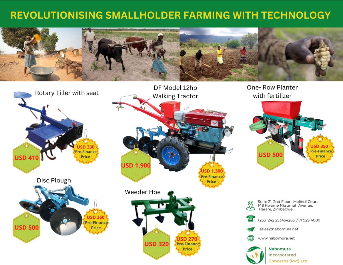 Partson T Makamba tweet media