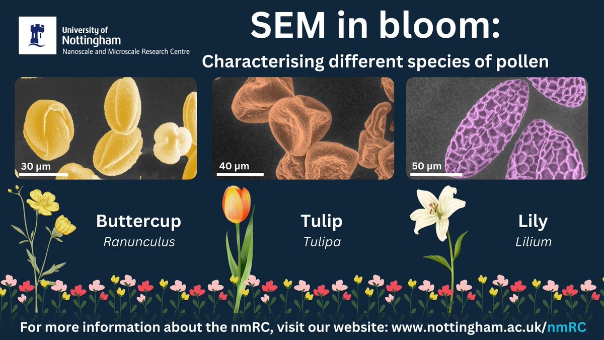 UoN nmRC tweet media