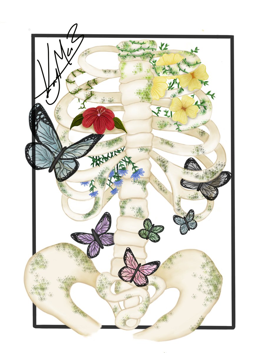Kaymstudios's tweet photo. giving me butterflies in my stomach #art #digitalart #skeletonart https://t.co/7KdEY7L3BC