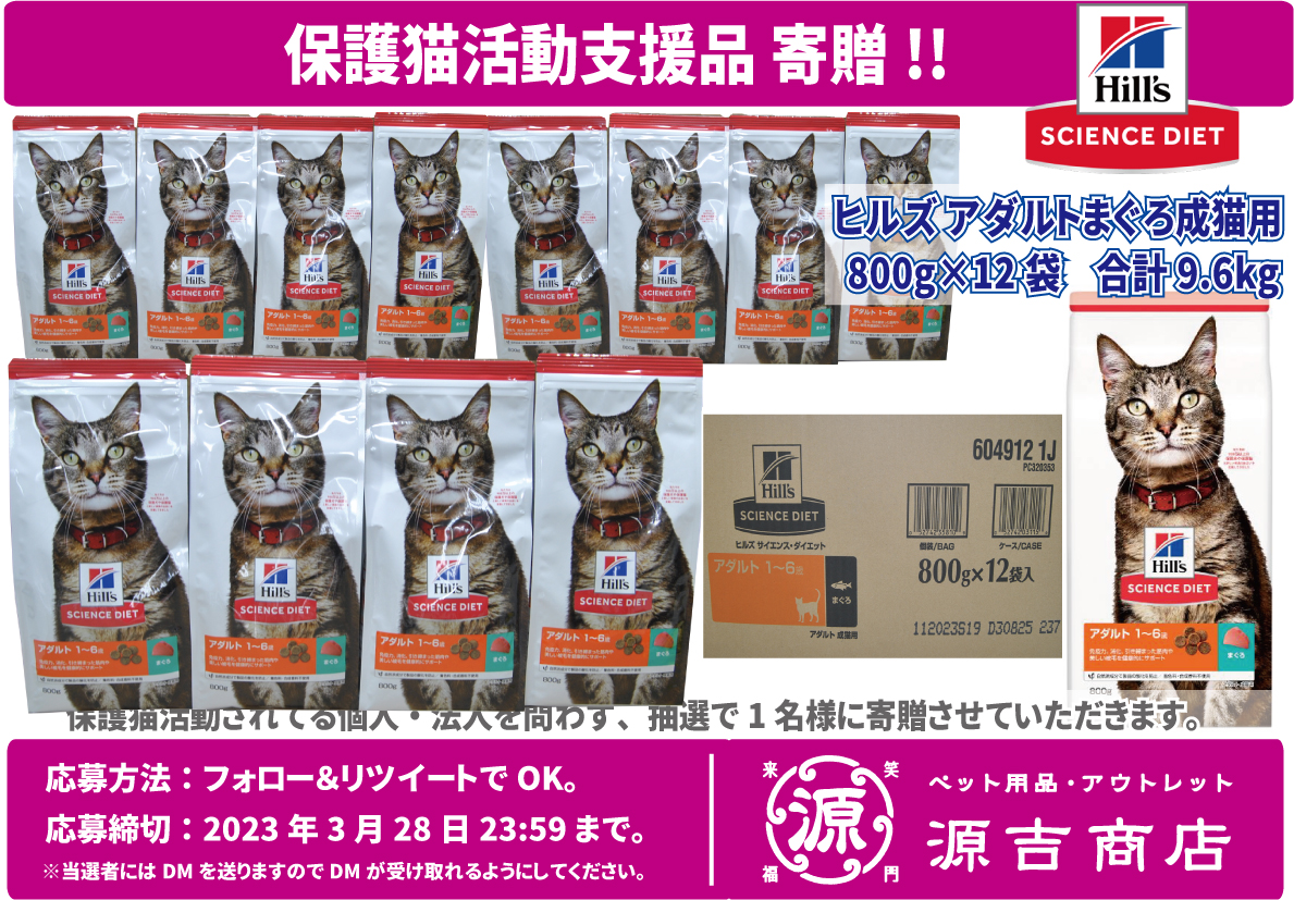 こゆき Amazon.co.jp: 仮面ライダーZX : 細井 雄二, 山田 ゴロ, 安土