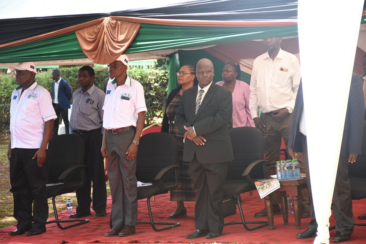 It is estimated that indigenous chicken account for 78% of all poultry in Kenya. Chicken production is a significant rural enterprise that contributes to Kenya's Vision 2030 socioeconomic pillar, which aims to enhance the livelihood of all Kenyans.