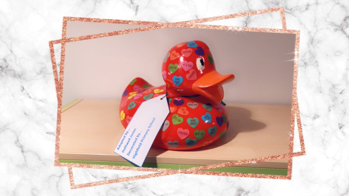 Romeo is ready for the <a href="/COCHfundraising/">The Countess Charity</a> Duck Race! Thanks <a href="/HALLIWELLJONES/">Halliwell Jones</a> for the sponsorship for him. ❤️💙❤️