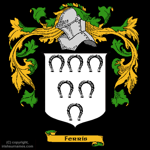 PaulFerris_Gla's tweet photo. As most folk know I'm not politically motivated ✊✌️  I'm #Scirish - A family mixture of #Irish and #Scottish heritage - Only found that out through a #DNA search through surnames too - McGinty from Inishowen - Ferris from Ulster who left Ireland for a better quality of life ✊☘️✌️
