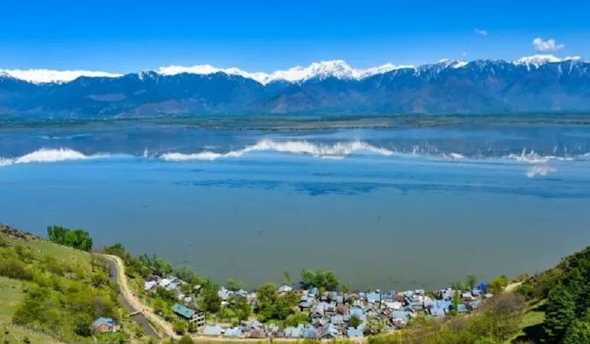 Wular Lake in Jammu and Kashmir is the largest freshwater lake in India and plays a vital role in the region's ecosystem. It's a birdwatcher's paradise with over 60 species recorded, including migratory birds.  #WularLake #JammuandKashmir #FreshwaterLake #BirdWatching #Ecosystem