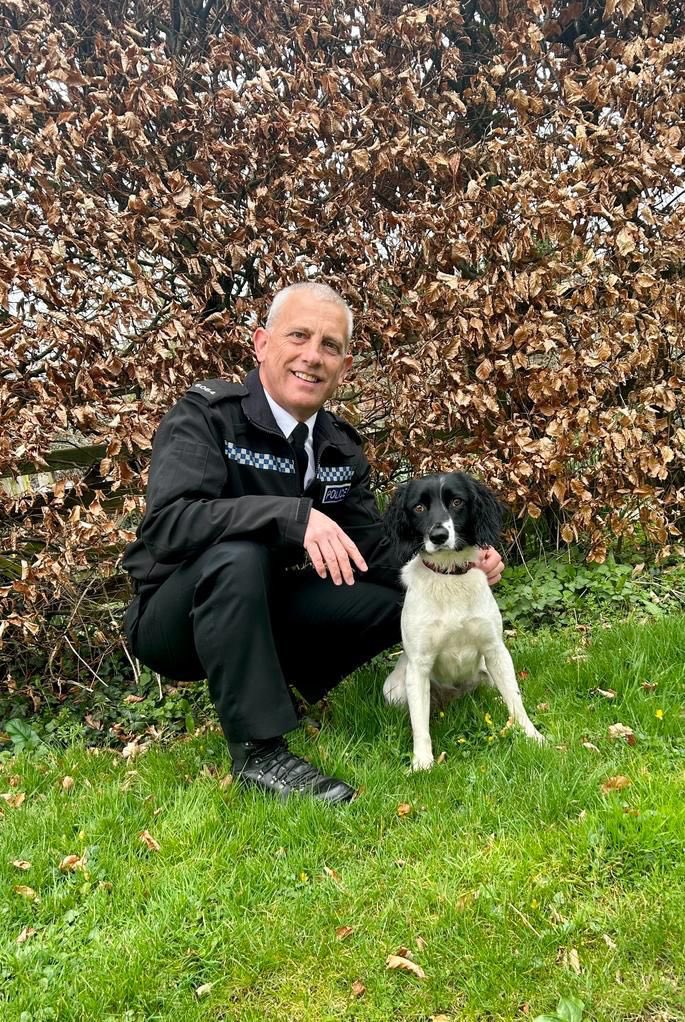 Devon Police Dogs tweet media