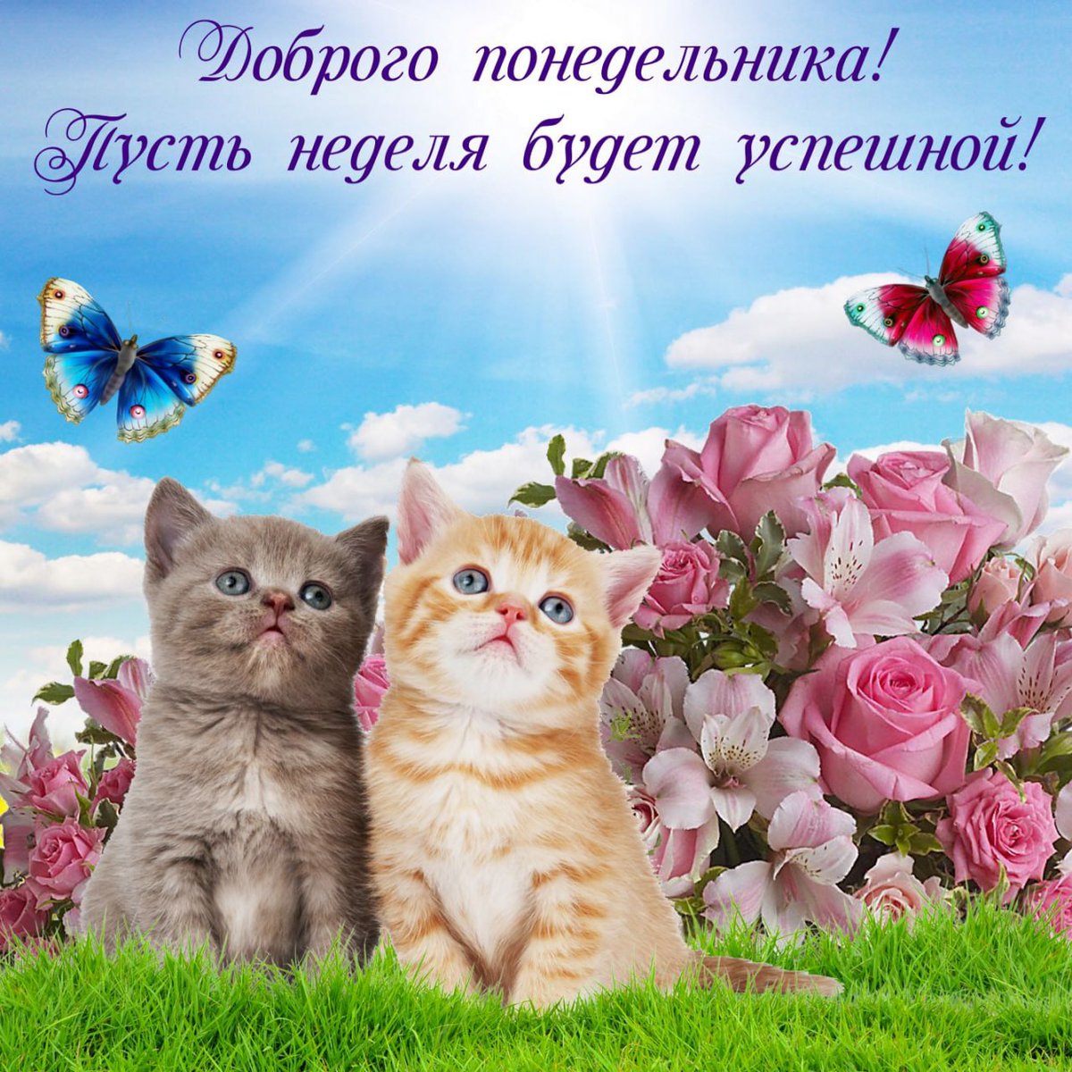 Elenabts21's tweet photo. @litvinovagala Доброго утра, Галочка 💚💛💐💚💛💐💚💛💐💚🌹💛🌹 https://t.co/uuWEiL7Us1