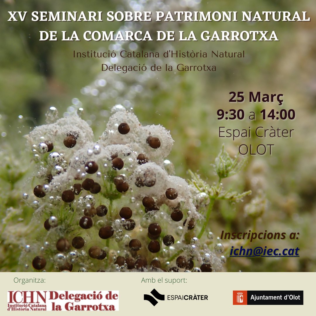 ICHN_Garrotxa (@ichn_garrotxa) on Twitter photo XVè #seminariDGICHN
Patrimoni Natural de la Garrotxa
Inscripció gratuïta però obligatòria a ichn@iec.cat
📍 <a href="/espai_crater/">Espai Cràter</a>
📅 ds. 25 de març 2023
🕘 9:30 - 14:00 h
Més informació a ichn-garrotxa.espais.iec.cat/2023/03/10/xv-… XVè #seminariDGICHN
Patrimoni Natural de la Garrotxa
Inscripció gratuïta però obligatòria a ichn@iec.cat
📍 <a href="/espai_crater/">Espai Cràter</a>
📅 ds. 25 de març 2023
🕘 9:30 - 14:00 h
Més informació a ichn-garrotxa.espais.iec.cat/2023/03/10/xv-…