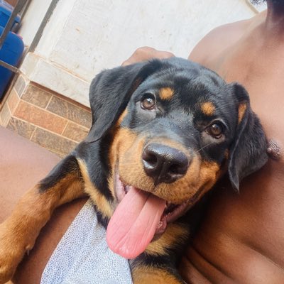 #NewProfilePic