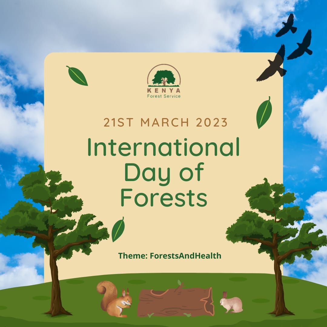 KeForestService's tweet photo. Tomorrow we join the world in celebrating the International Day of Forests. 

Forests provide important health benefits for all people – not only those whose lives are closely intertwined with forest ecosystems, but also people far from forests, including urban populations. https://t.co/Ffej5zNOSr