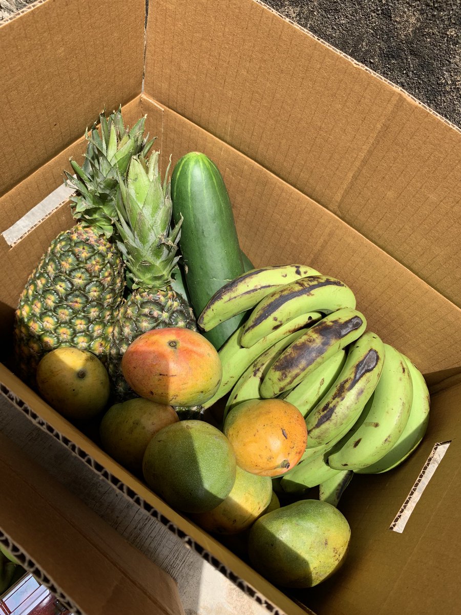 fruiteys's tweet photo. Farm fresh VEGGIES & FRUITS π₯¦π₯¬π₯π½π₯ππππππ
Tag all the wellness, healthy persons out there,
#Fruiteys is your brand for all things fresh fruits/ veggies.
Send us a DM to place your order.
Kindly RT π https://t.co/bTeXyiaOhQ
