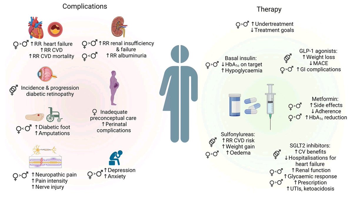 📢LECTURA OBLIGATORIA
👥Diferencias de la #diabetes tipo 2 en hombres y mujeres:
1️⃣Factores de riesgo
2️⃣Características clínicas 
3️⃣Cribado
4️⃣Complicaciones
5️⃣Tratamiento
⭐Excelente revisión vía <a href="/DiabetologiaJnl/">Diabetologia</a>
🔓bit.ly/3Tsvuix
#DM2 #Obesidad #Testosterona  #Menopausia