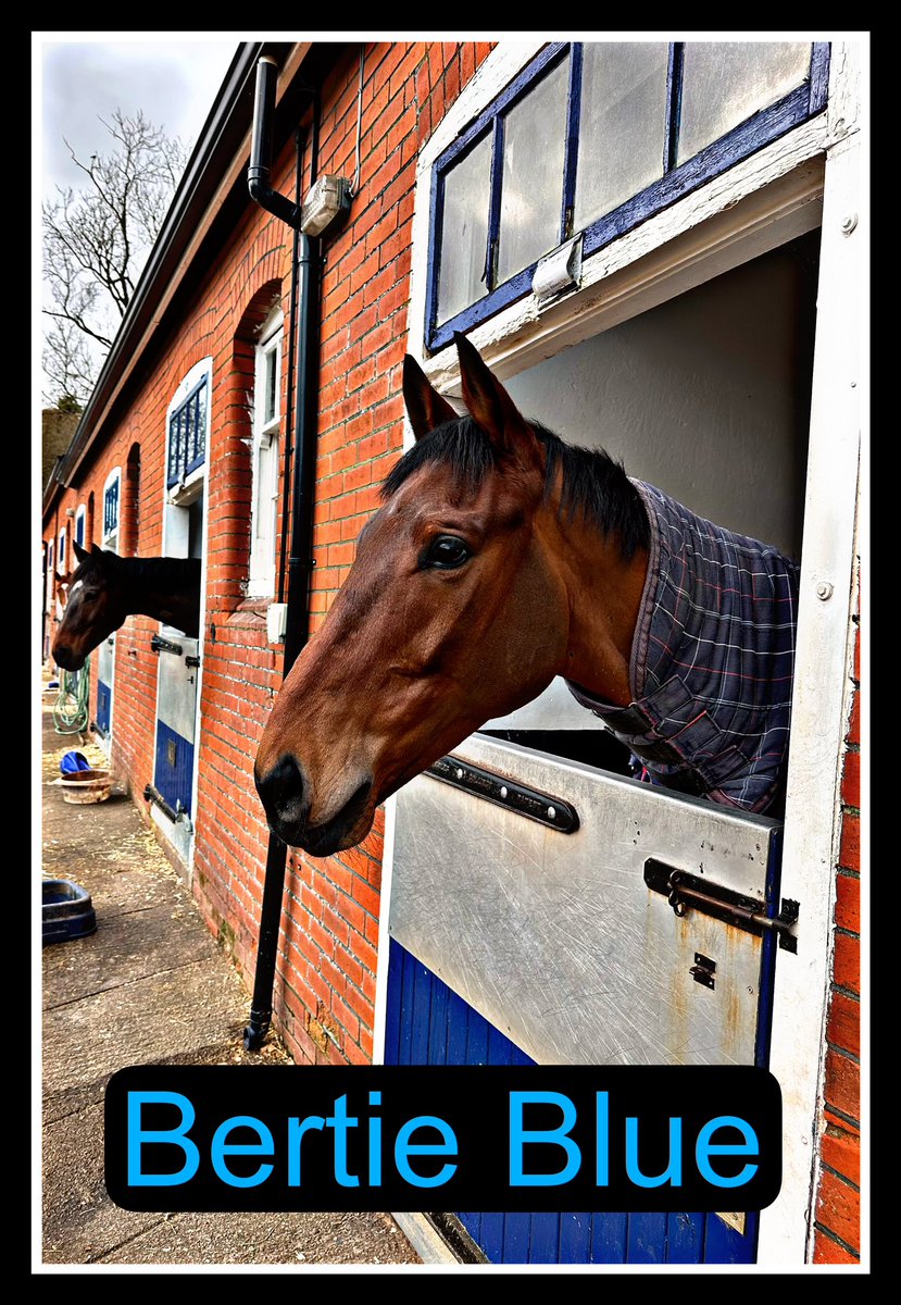 ELavelleracing photo