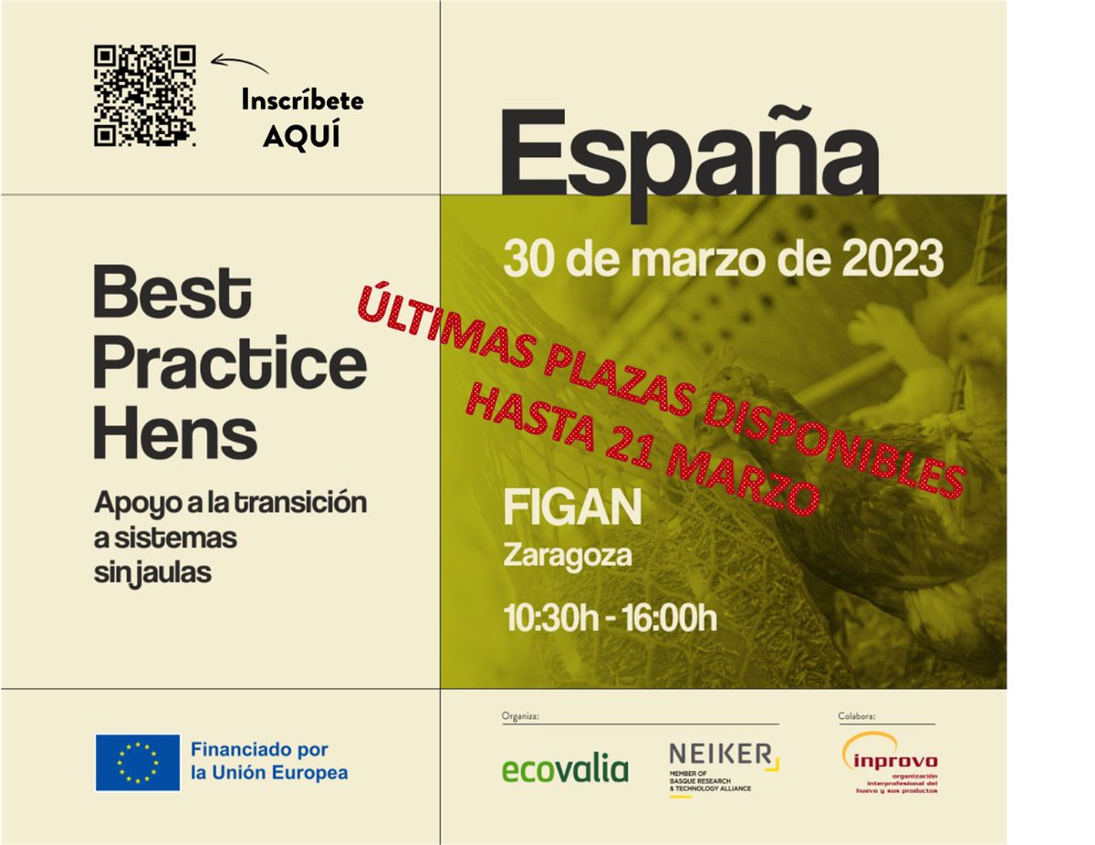 Best Practice Hens tweet media