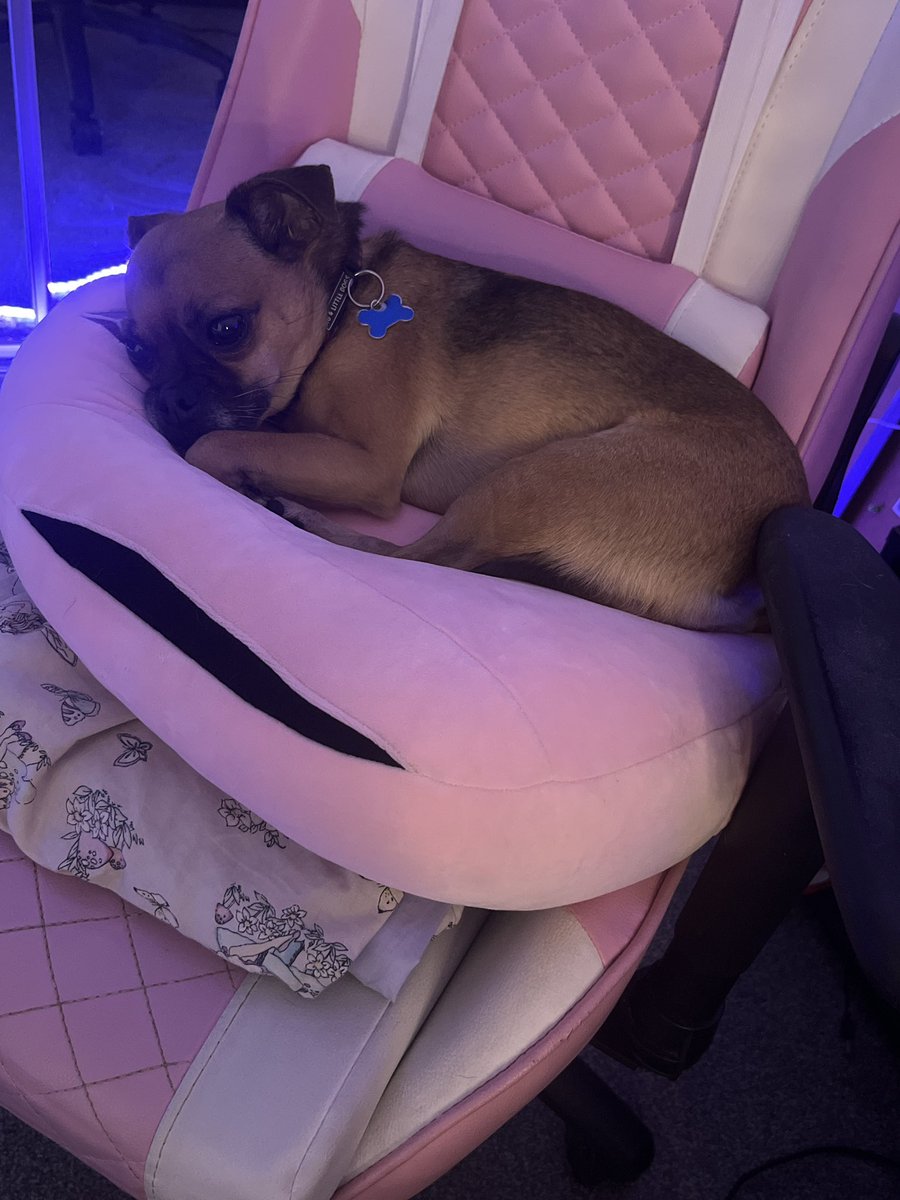 ‧₊☽ MoonFairy_x ☾₊‧ tweet media