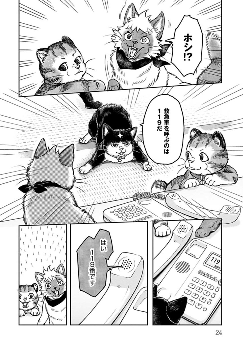 (6/8) 