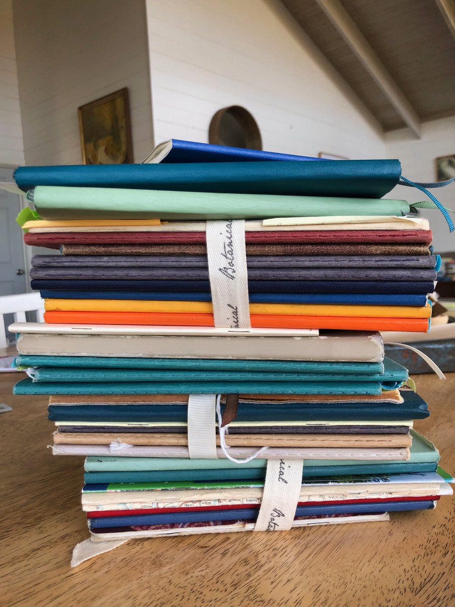 Josephine Rowe tweet media