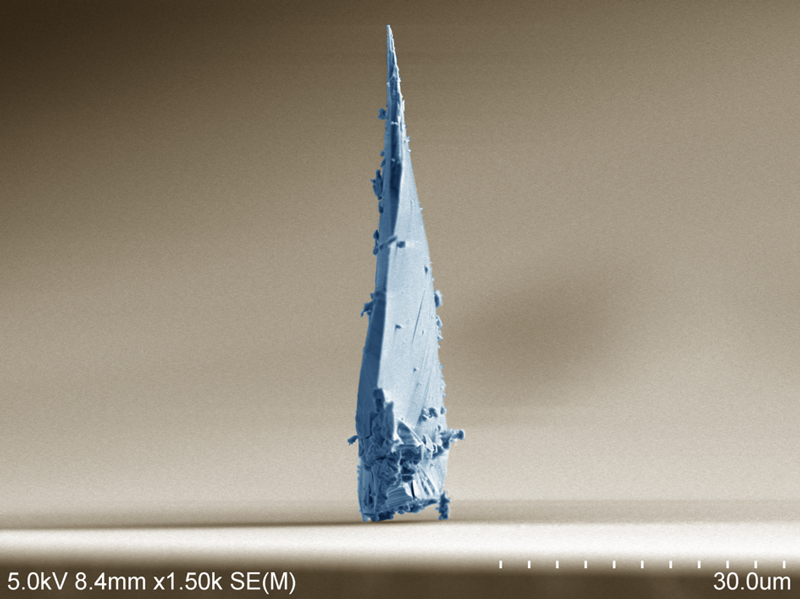 JHINST_Prague's tweet photo. 🔬What we see under the #microscope⤵️
"Shard“
Regular shard of glass, posing like some skyscraper. Coloring inspired by glassy skyscraper in the desert city.
Photo (colored) by Roman Nebel
Device: Hitachi S-4800
#sciencephoto https://t.co/LlWPVfs6g9