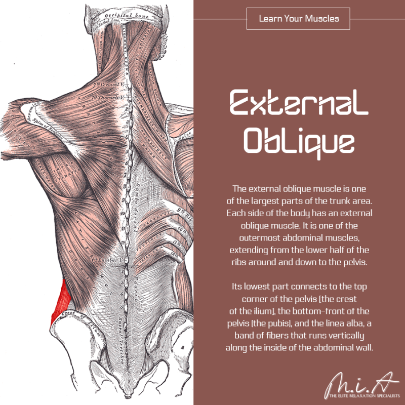 JustGoMIA's tweet image. Book Online Here👉 t.ly/pakC