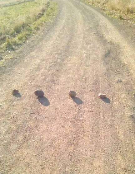 rg_ronny's tweet photo. I valiwe I ndlela because of #NationalShutdown https://t.co/PEpehO50dC