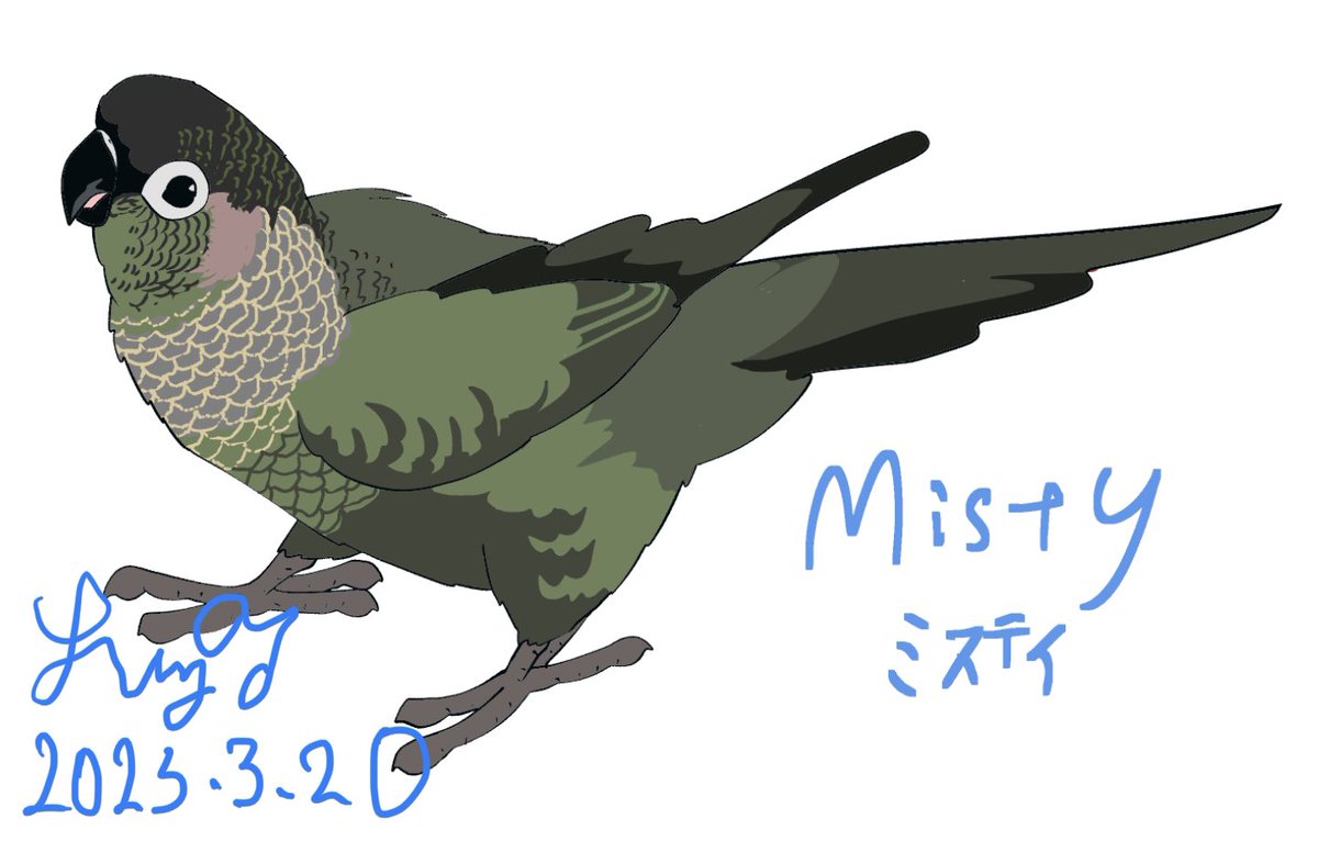 「ウロコ図鑑タペストリー用のイラストです入稿押してます、すみませんルチノーブルーワ」|Liz青いことり工房のイラスト