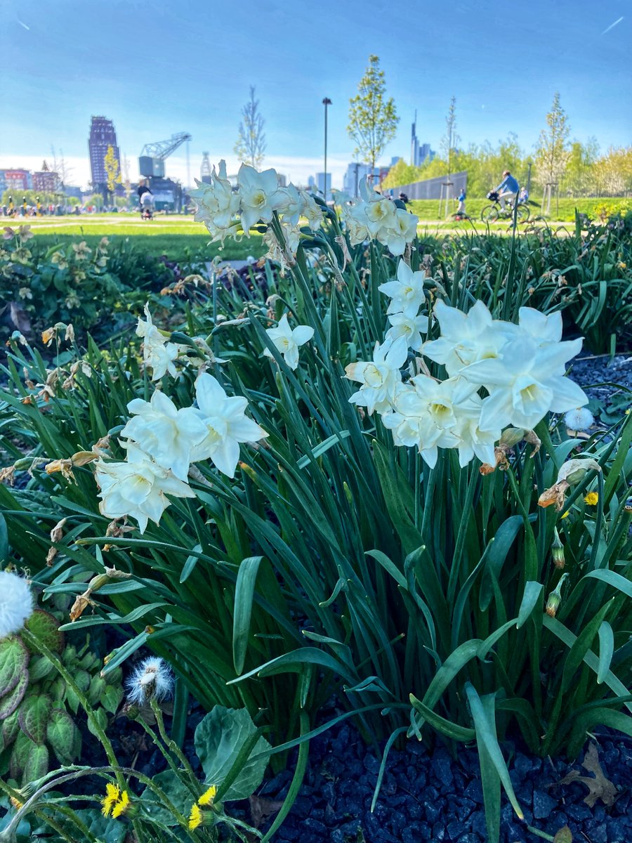 Heute beginnt der Frühling kalendarisch und damit höchstoffiziell! 📅 Wo besser als im #GrünGürtel könnten wir ihm beim Erwachen zusehen? 🏞️ 🚴‍♀️ 🚶 

Wir dürfen euch das Veranstaltungsprogramm für das Jahr 2023 vorstellen 👉 t1p.de/wlri9