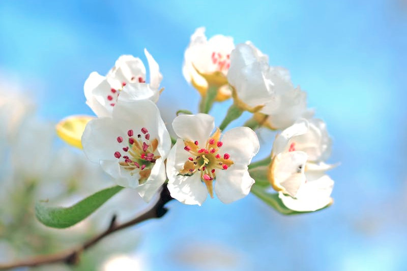 Bon dia! 🤗 Benvinguda, primavera!

🌸 Amb l'alegria de la nova estació, estrenem una setmana intensa amb una agenda cultural carregadíssima de propostes per a tots els gustos. 🔎 Són totes aquestes! 👉 ow.ly/7s7u50NjS9t