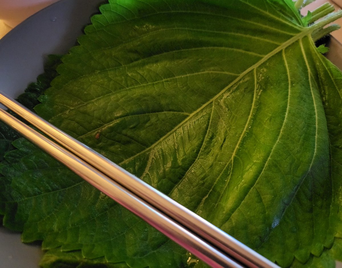 BaseLineWoo's tweet photo. "samgyeopsal #jimin ssi"
I know how to separate my own perilla leaves #Jungkook ๐๐๐
#BV4 https://t.co/Ug4YSjlWtQ