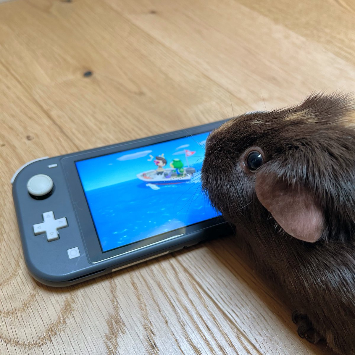 Dan Long tweet media