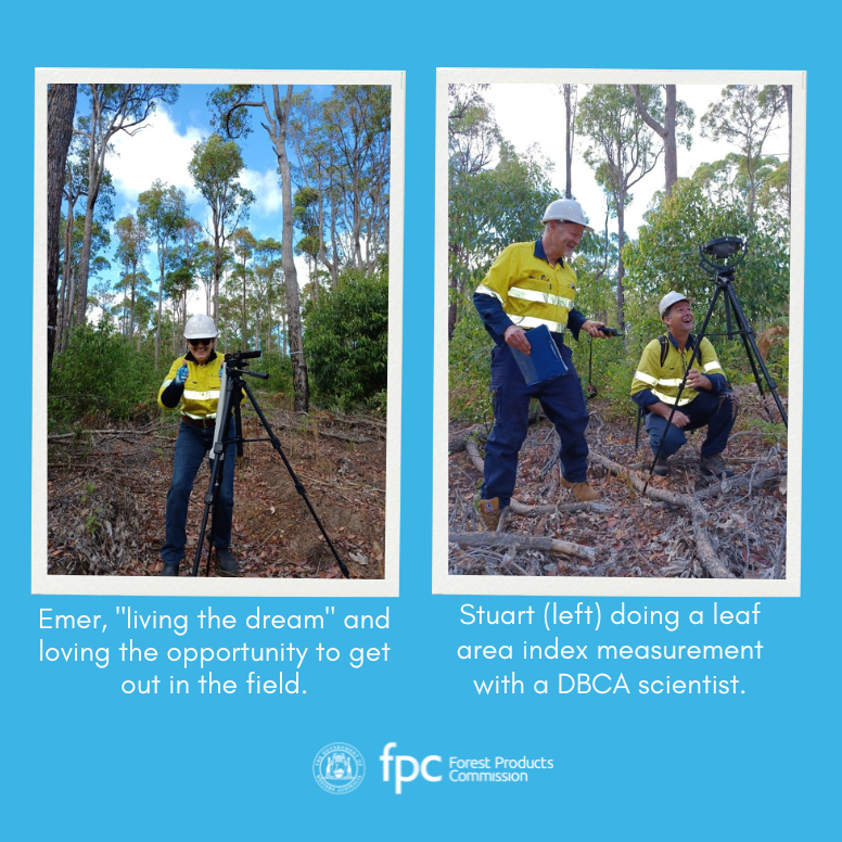 Forest Products Commission tweet media