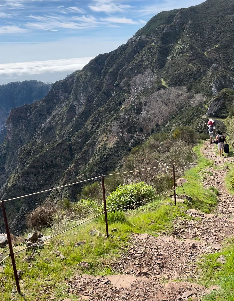 Gm fam 💪🤍

Say it back 🤝👇