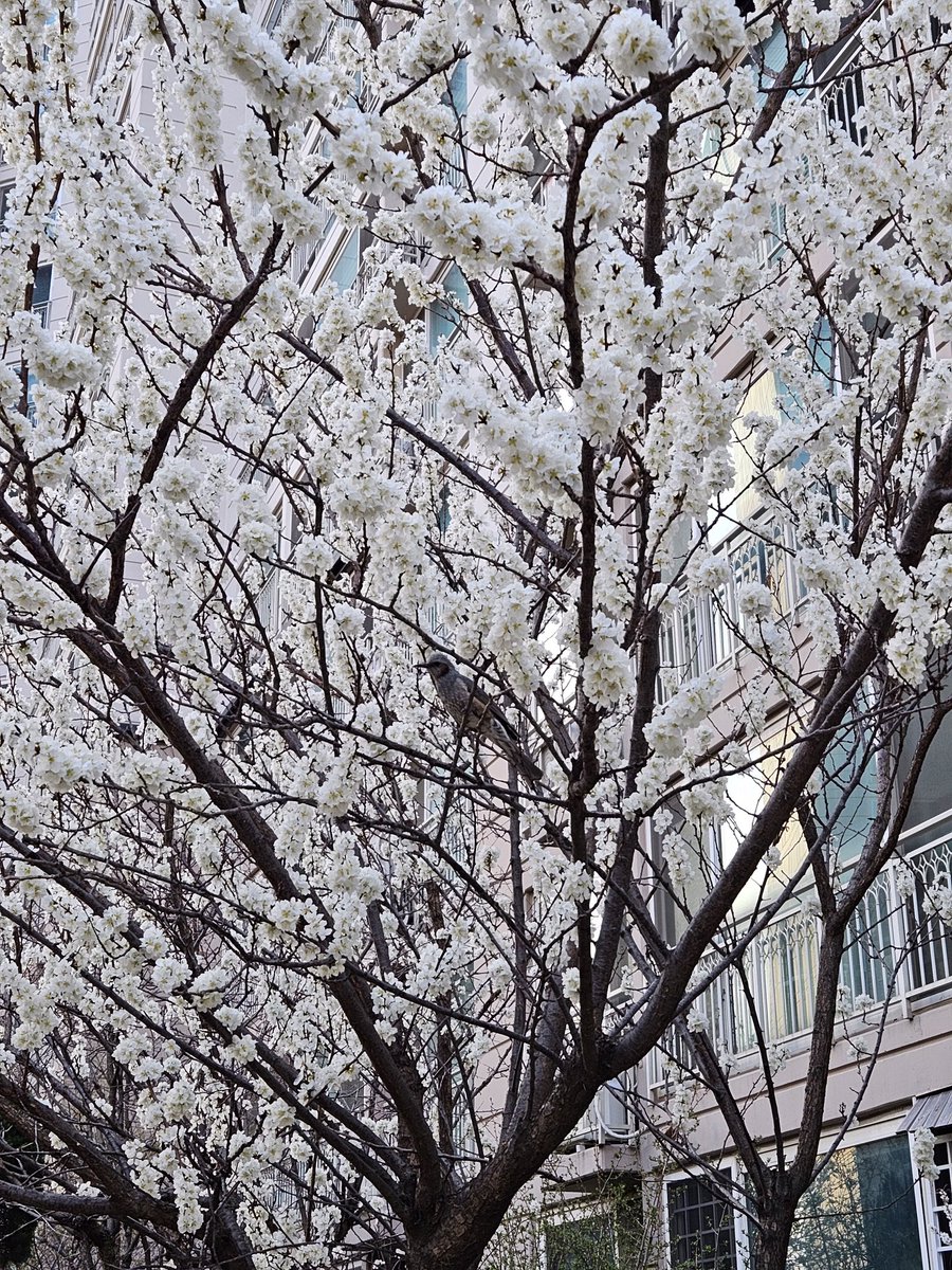 happiness_psh's tweet photo. 오늘 너의 하루는 어땠는지...
보고싶다 서함아
#skyforseoham #flowerforyou https://t.co/IgqKalVF3D