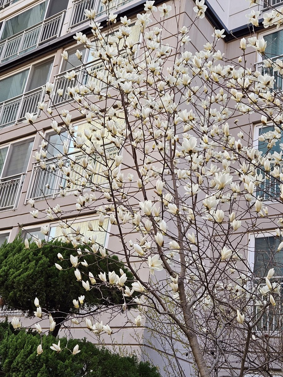 happiness_psh's tweet photo. 오늘 너의 하루는 어땠는지...
보고싶다 서함아
#skyforseoham #flowerforyou https://t.co/IgqKalVF3D