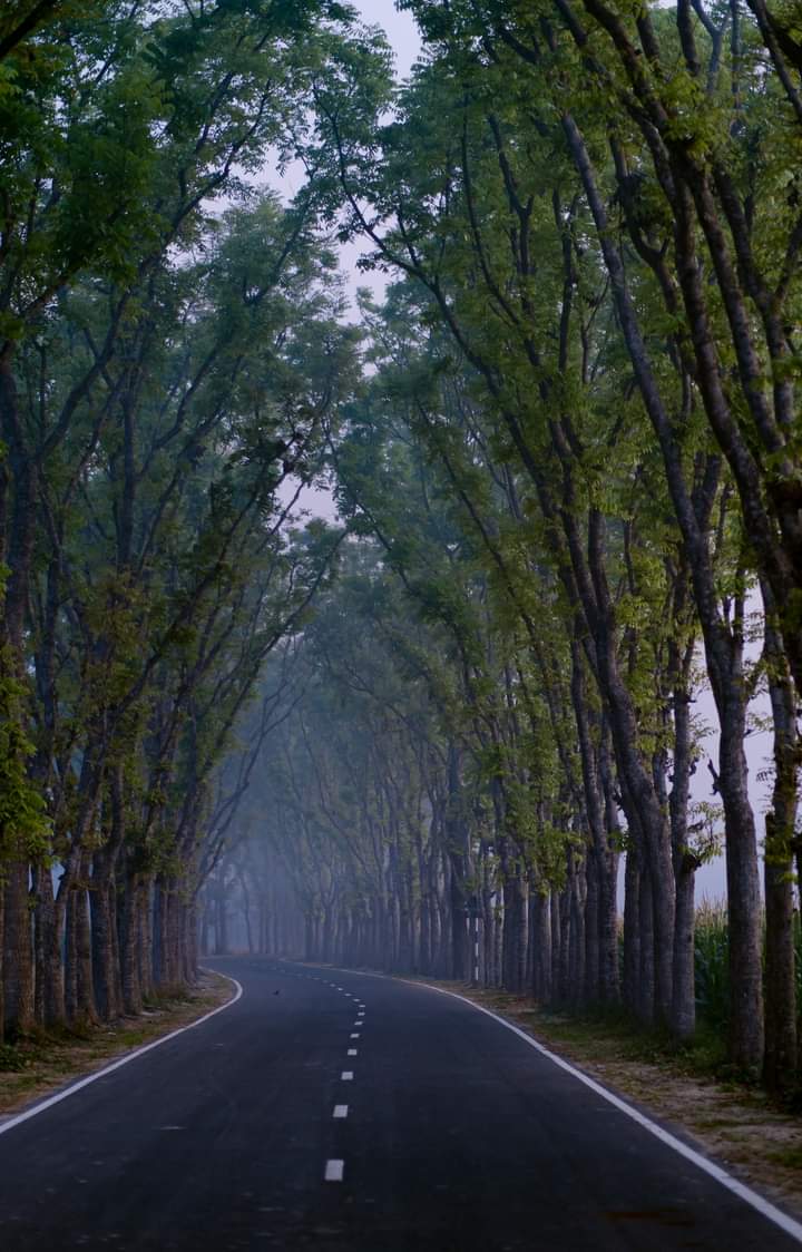 HasanAklima's tweet photo. #BeautyofRoad
#GreenRoad
#EyesOnTheRoad
#Drivingcrazy https://t.co/PdqF8jJwZP