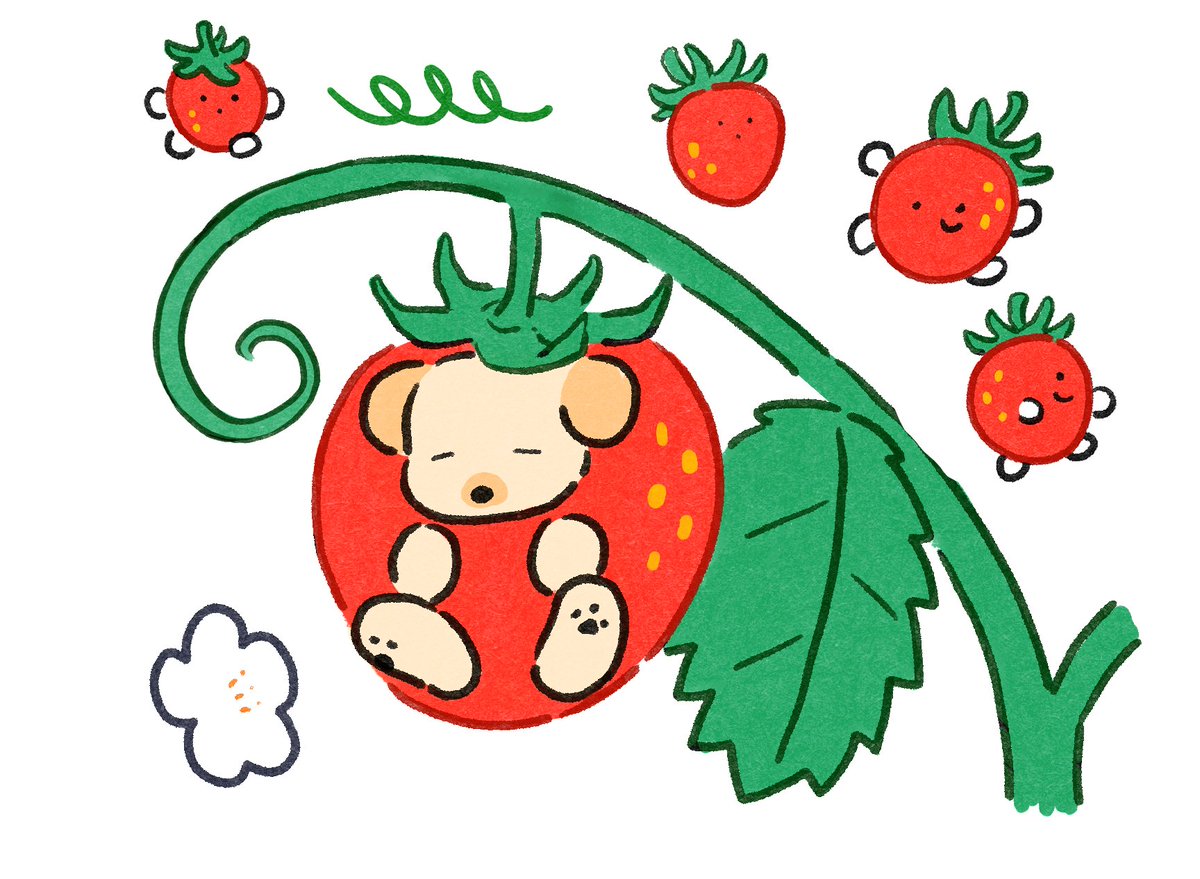o_l_bom's tweet photo. 딸기멍🐶🍓 https://t.co/y2elWd1tQ6