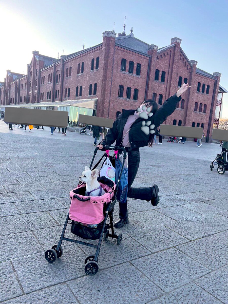 りんね (@Rin__816) / Posts / X