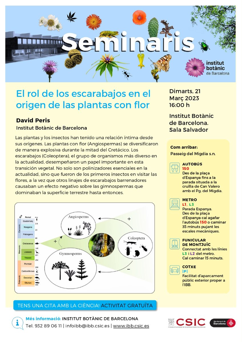 🔴 MAÑANA‼️ 🗣️ Seminarios IBB: «El rol de los escarabajos en el origen de las plantas con flor» a cargo de <a href="/David_Peris_/">David Peris</a> del IBB 🪲🌸

📅 martes 21 de marzo
⏰ 16h
📍 Sala Salvador, IBB

ℹ️ Más información: ibb.csic.es/es/2023/03/sem…
#SAA23
