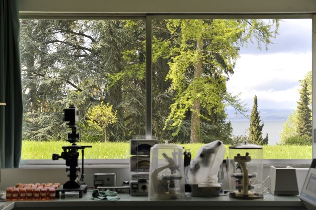 Tenure-Track Junior Professor Chair –  INRAE CARRTEL, Thonon les Bains, France. Application until April 21, 2023 -"Role of the microbiome in the dynamics of plankton in lakes"
More info and profile description (in French)
jobs.inrae.fr/chaire/chaire-…