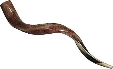 MarcelloTunasi's tweet photo. Cet instrument ( shofar ) n’est pas plus puissant que les autres dans la nouvelle alliance. 
Il a certe un son rustique et original , mais cela ne lui confère aucun pouvoir surnaturel. 
C’est le chrétien consacré qui est l’instrument spécial. Romains 6:13 
#saine_doctrine https://t.co/Pq6FIdgfl1
