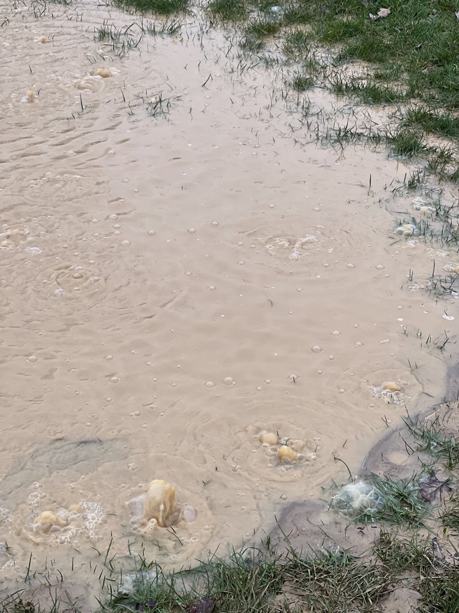 Always good to see HS2 have their priorities right. No body working on the problem at Ruislip Rugby Club but they have their “spy” team out checking on those taking interest in their vandalism.