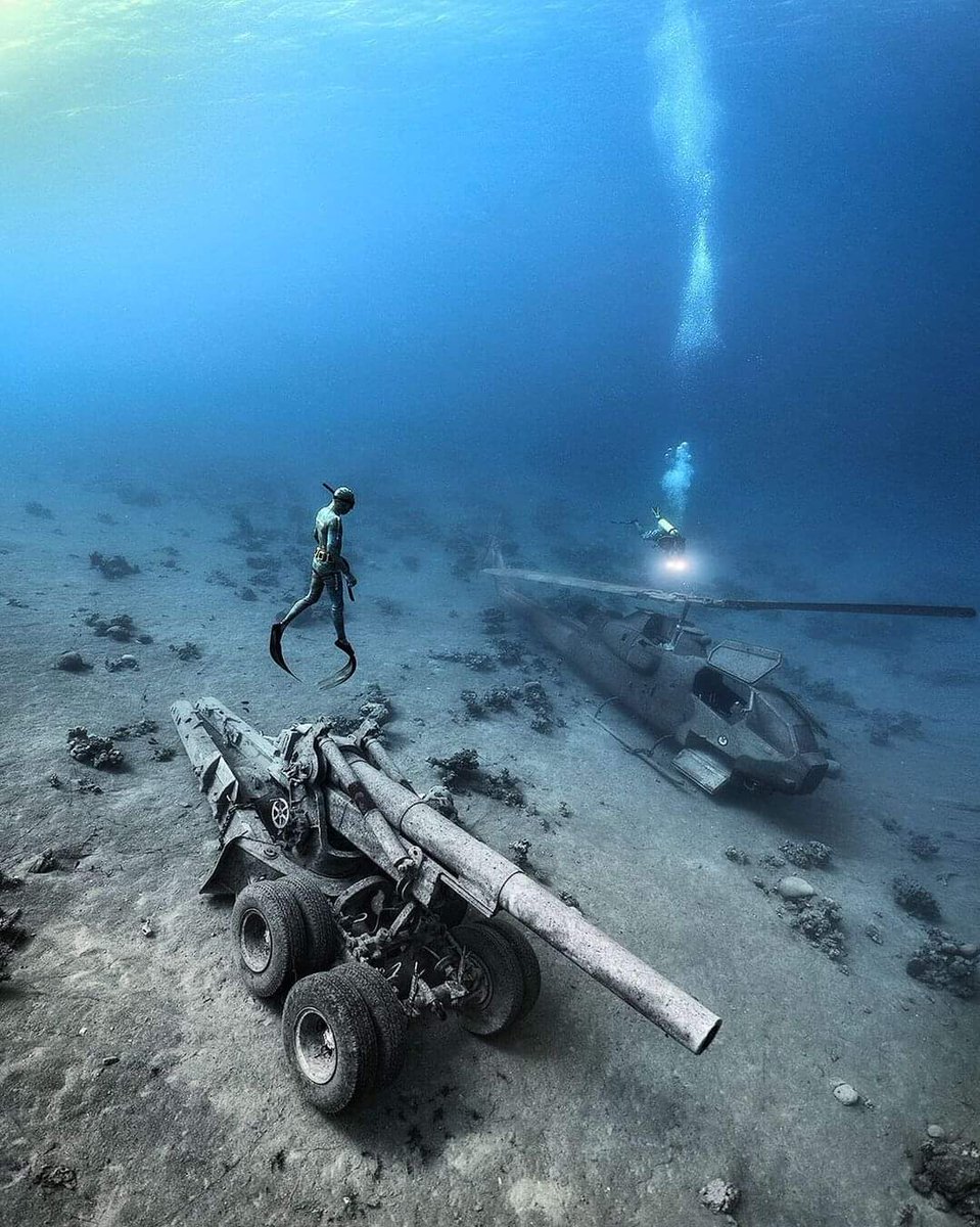 Derinlerde 🤿📷 Alex Dawson👌
 #wreckdiving #underwateradventures